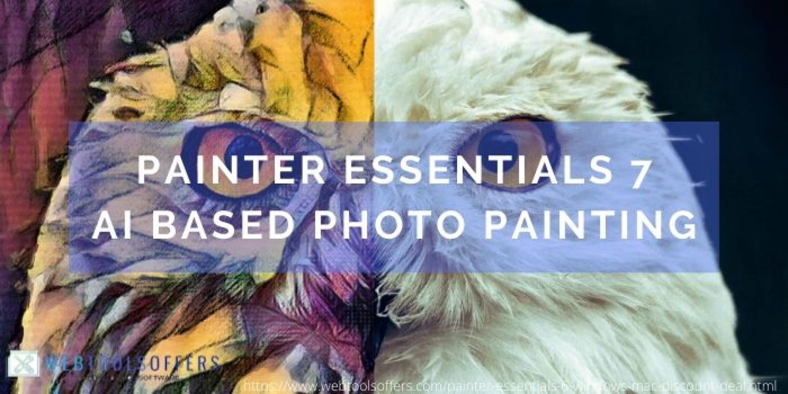 Painter Essentials 7 Coupon 20 Off Code 2024 Windows Mac   Painter Essential 7 Coupon Code 2048x1024 