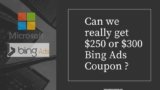 Microsoft Bing Ads $250 of Bing Ad Voucher – Real or Fake?